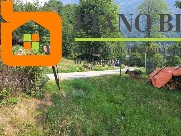 V000594 - TERRENO EDIFICABILE TRA IL VERDE - Foto 5