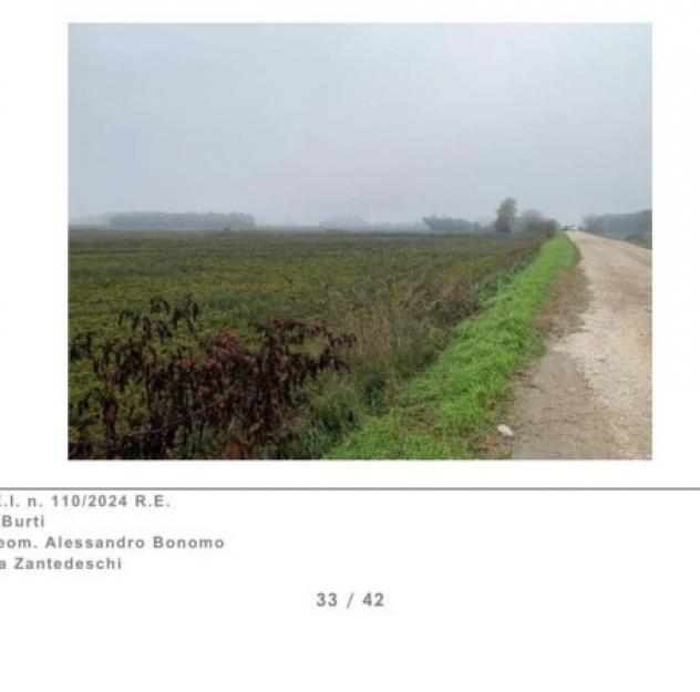 Immobile in asta di 22003 m² in vendita a Legnago - Foto 4