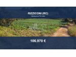Immobile in asta di 8975 m² in vendita a Rizziconi