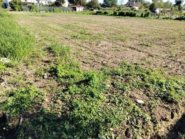 Terreno agricolo in vendita a Poveromo - Massa 1300 mq Rif: 1394710 - Foto 2