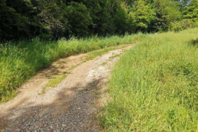 Immobile in asta di 6 m² in vendita a San Casciano in Val di Pesa - Foto 5