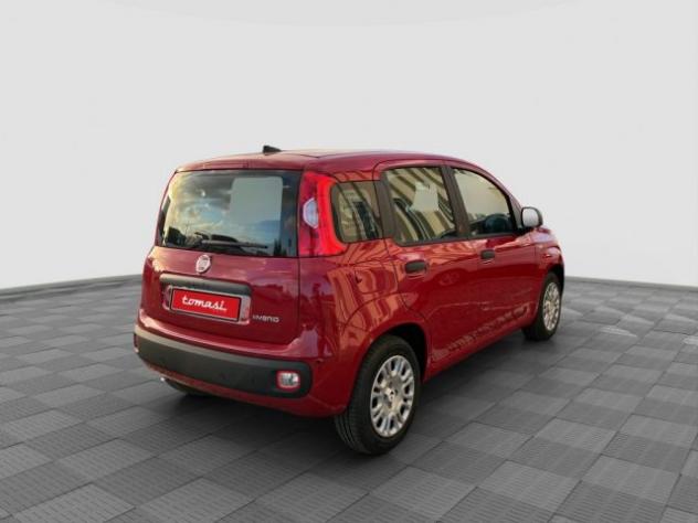 FIAT Pandina Pandina 1.0 FireFly 65 CV Hybrid Icon rif. 24122144 - Foto 4