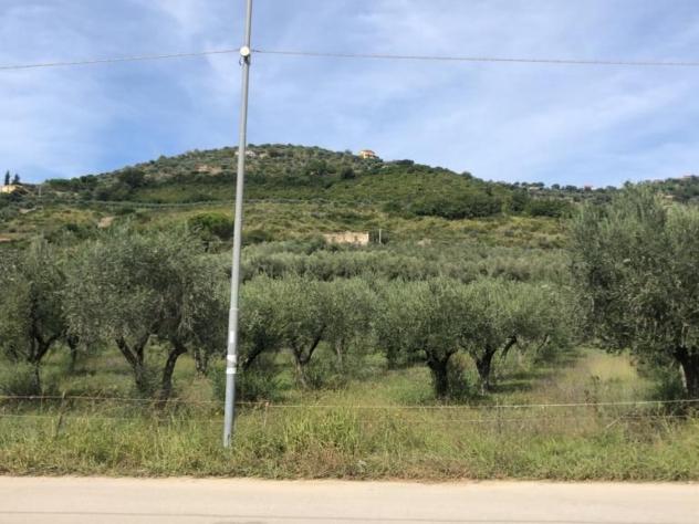 Agricolo in Via Frascinelle - Foto 11