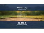 Immobile in asta di 88619 m² in vendita a Muggia