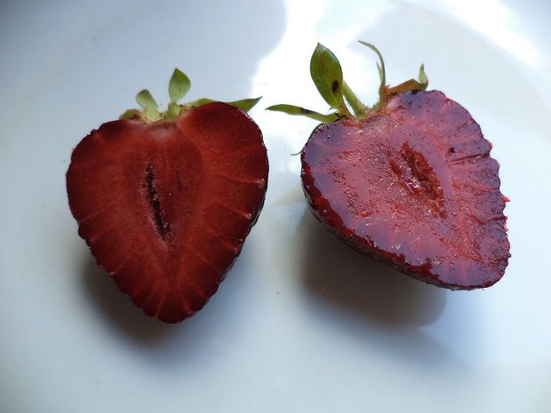 Fragola scura Annelie - Foto 2