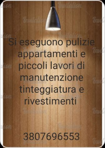 Pulizie e piccole riparazioni