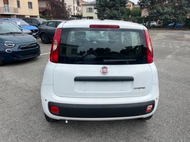 FIAT Pandina Pandina 1.0 firefly hybrid Icon s&s 65cv - Foto 9