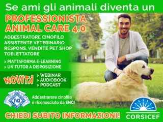 Corsi per PROFESSIONISTA ANIMAL CARE 4.0