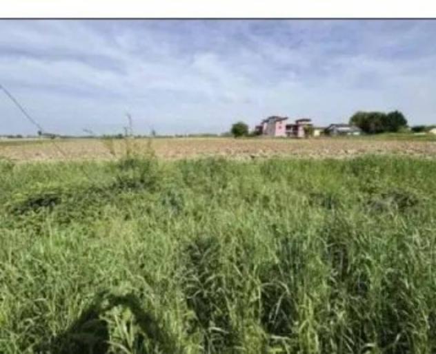 Immobile in asta di 5923 m² in vendita a Nogara - Foto 3