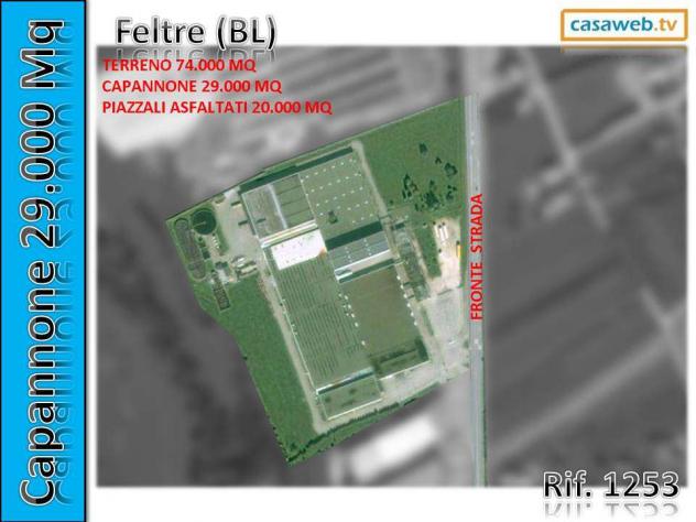 1253 - Capannone a Borgo Valbelluna - Foto 2