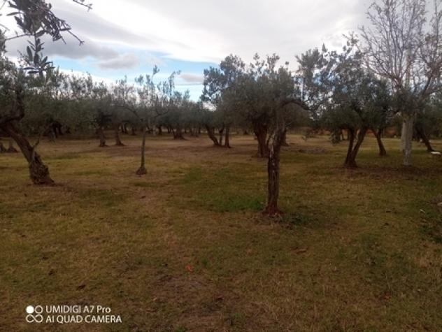 Rustico in vendita a Fossacesia - Foto 10