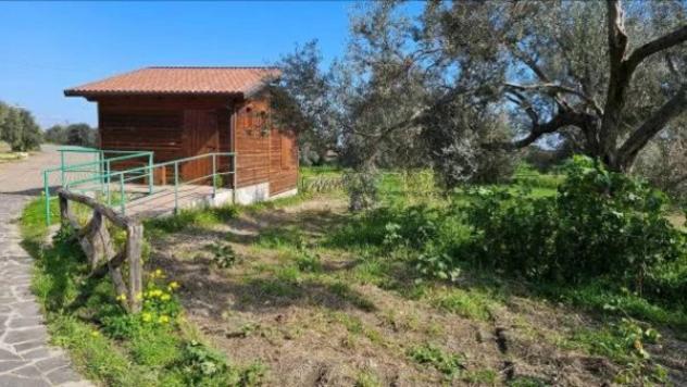 Immobile in asta di 5920 m² in vendita a Portigliola - Foto 10