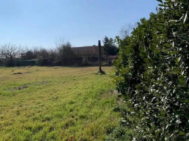 Immobile in asta di 2396 m² in vendita a Saonara - Foto 10