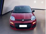 FIAT Pandina Panda My25 1.0 70cv Hybrid Panda