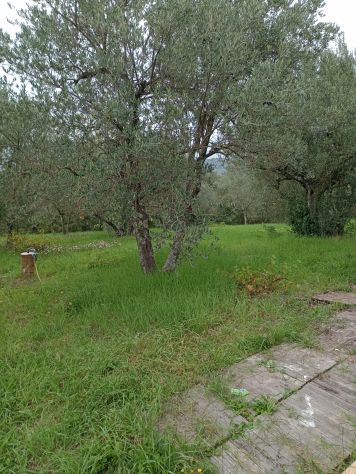 Terreno per agricoltura amatoriale nel Chianti - Foto 6