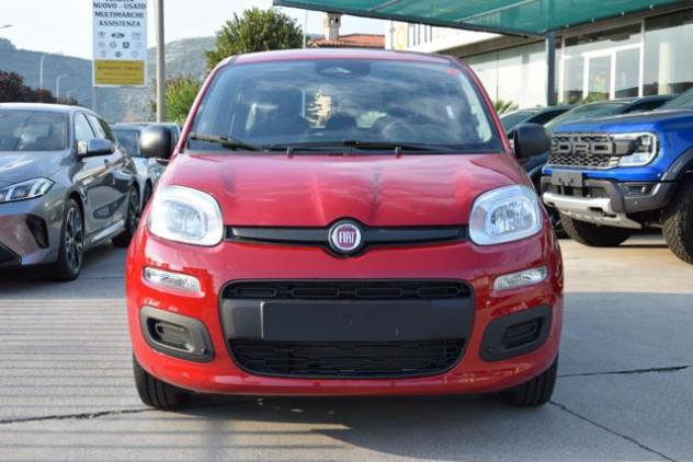FIAT Panda 1.0 Firefly Hybrid Icon S&S 65cv *5posti* rif. 24102648 - Foto 2