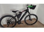Vendesi Ebike