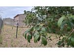 Box in vendita a Molina di Quosa - San Giuliano Terme 700 mq  Rif: 1324329