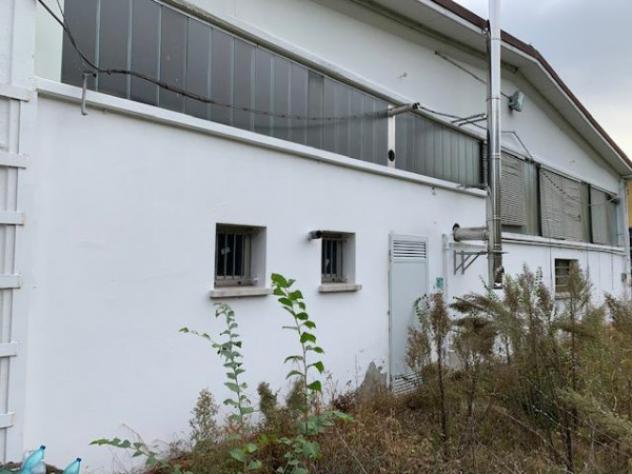 Immobile di 320 m² in vendita a Concordia sulla Secchia - Foto 9