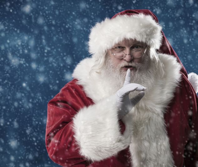 BABBO NATALE A DOMICILIO MILANO e Provincia | Consegna Regali Vigilia 3478497587 - Foto 2