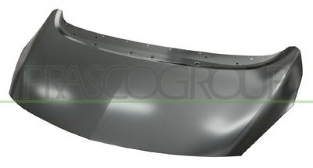 OPEL MERIVA 2010-COFANO ANTERIORE OP3543100