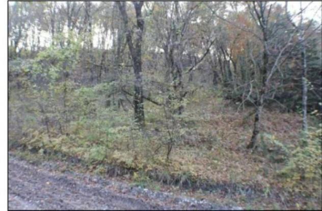 Immobile in asta di 65380 m² in vendita a Nocera Umbra - Foto 4