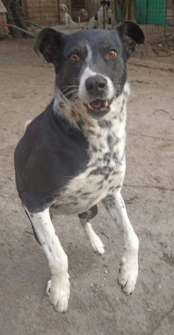 Kika - Foto 9