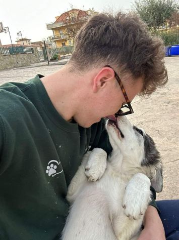 MARILYN E MISTY CUCCIOLE IN ADOZIONE - Foto 7