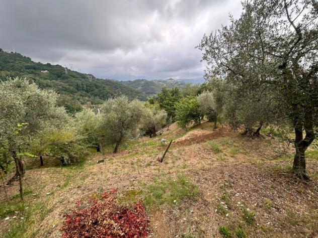 Agricolo in vendita a Arcola - Foto 16