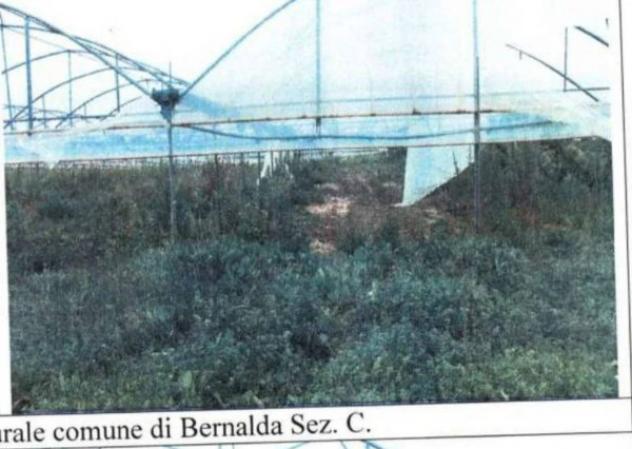 Immobile in asta di 106556 m² in vendita a Bernalda - Foto 2