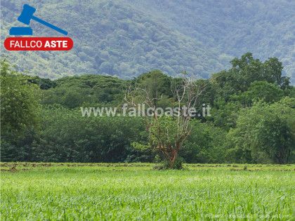 Tribunale di Bari - RG 965/2017 Terreno agricolo in asta
