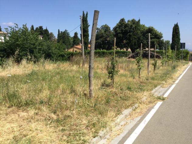 Agricolo in vendita a Chianni - Foto 7