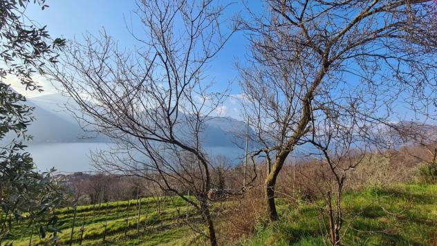 VILLA di 8 vani e di 160 mq (MONTE ISOLA) rif. 75450 - Foto 6