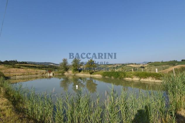 PROPRIETA' BRISIGHELLA - VIA LODOLONE 29 - Foto 7