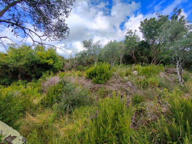 Terreno edif. residenziale in vendita a Deiva Marina 5500 mq Rif: 1391394 - Foto 6