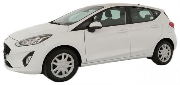 Ford Fiesta 1.5 EcoBlue 5 porte Business - Foto 4
