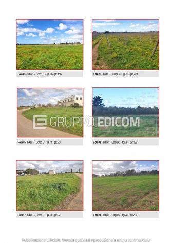 Fabbricati per attività agricole in vendita a Galatina - Rif. 4553054 - Foto 5