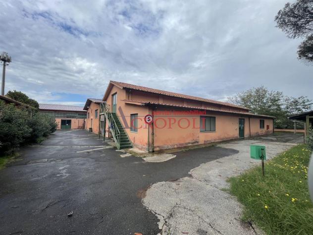 Capannone - Rif. 2583 - Foto 15