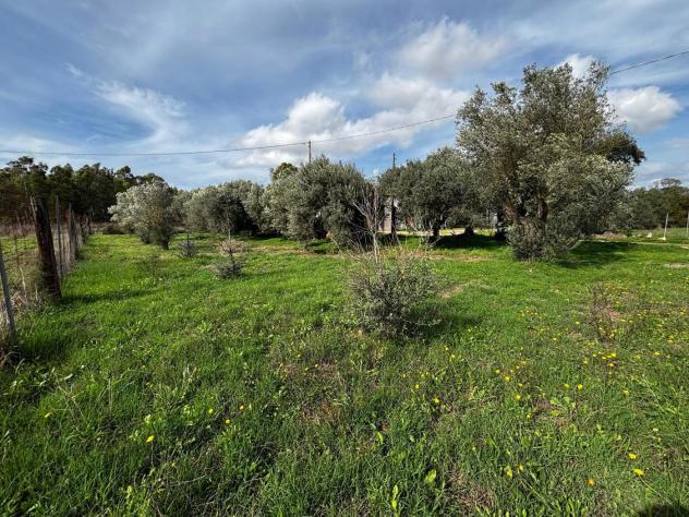 Casa Indipendente - Villamassargia . Rif.: Cod. rif 3189364VRG - Foto 13