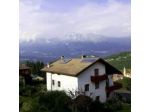 B&B Artemia
