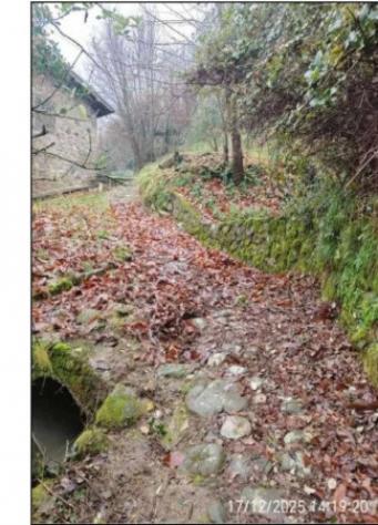 Immobile in asta di 291 m² con più di 5 locali in vendita a Fosciandora - Foto 9