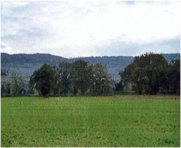 Immobile in asta di 48245 m² in vendita a Orte - Foto 3