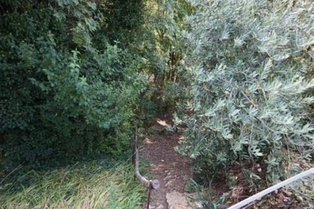 Immobile in asta di 11124 m² in vendita a Sovizzo - Foto 2