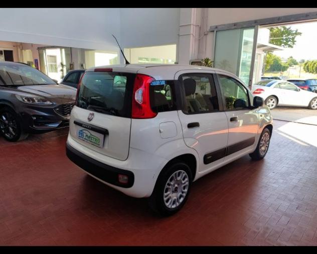 FIAT Panda 1.2 Easy rif. 23994893 - Foto 7