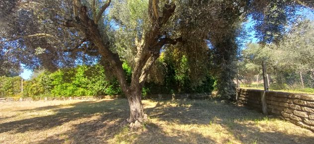 Bellissimo terreno - Foto 8