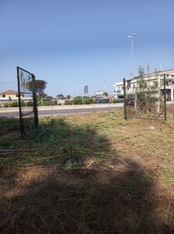 RIF. 272 TERRENO FRONTE DOMIZIANA IN VENDITA - Foto 2