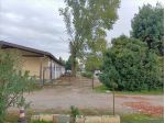 Sviluppo area sportiva centro equitazione