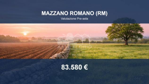 Immobile in asta di 41390 m² in vendita a Mazzano Romano