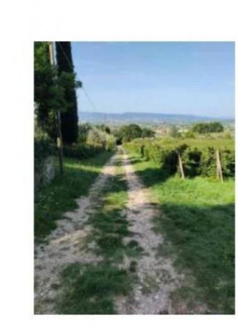 Immobile in asta di 7490 m² in vendita a Spello - Foto 3