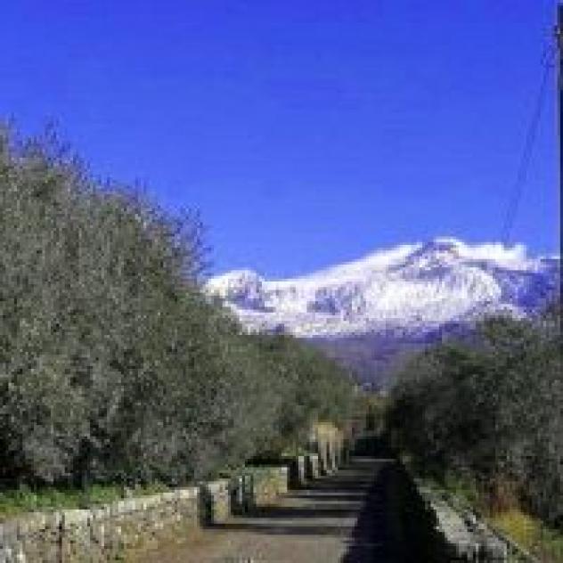 Agriturismo Il Sentiero degli Ulivi